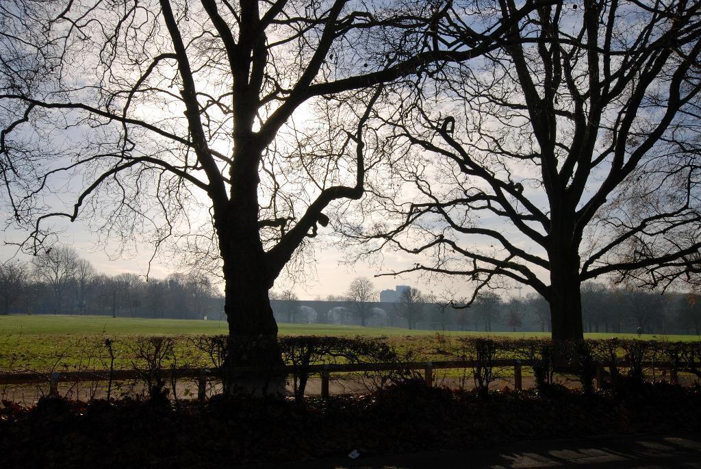 Southerly Winter Views
