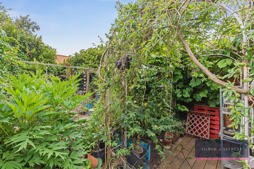 020620259_TILS_20...