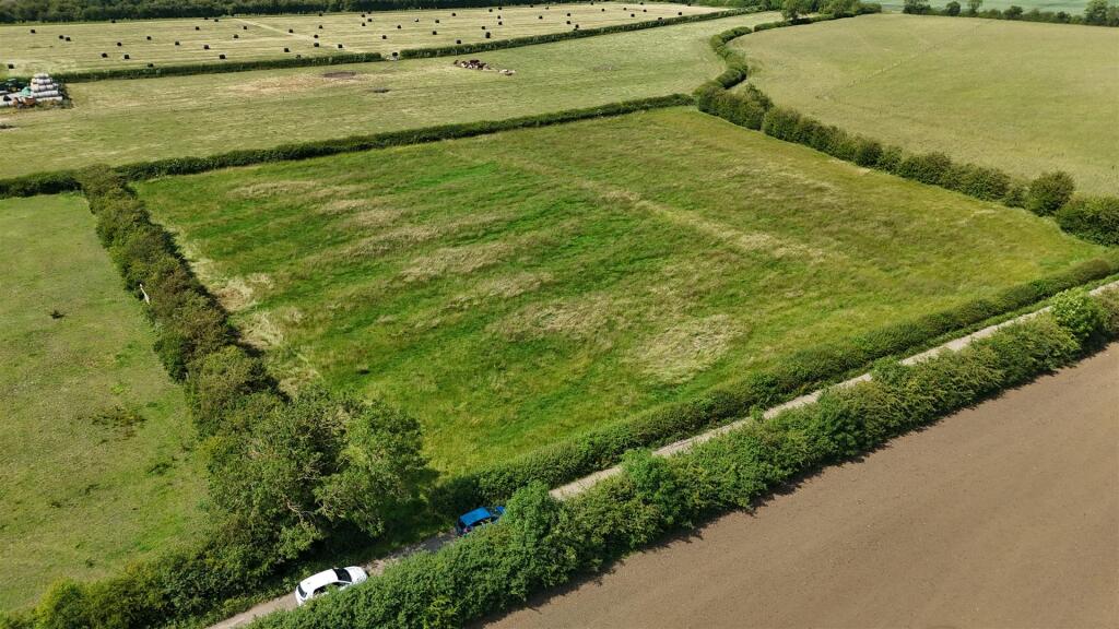 DJI_20250220194021_0794_D.JPG