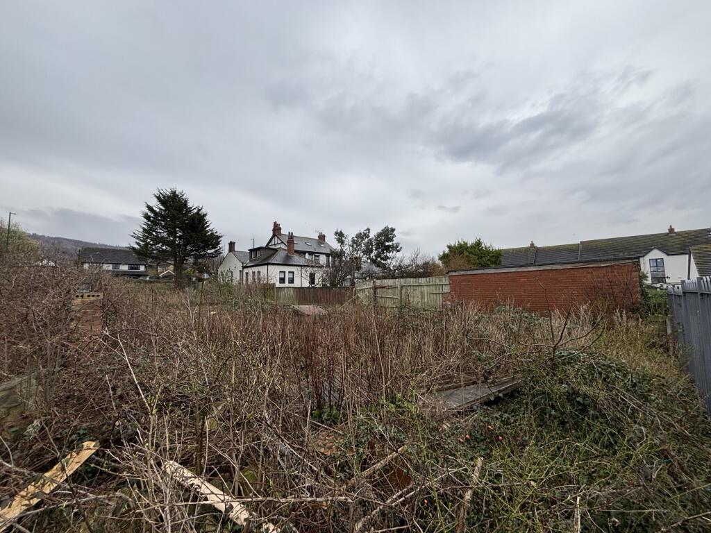 IMG 1920 T202503071143.jpeg