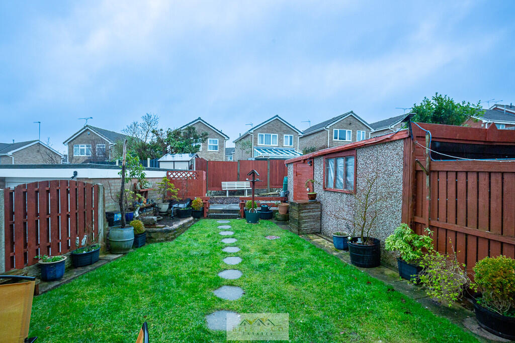 Back garden 1.1