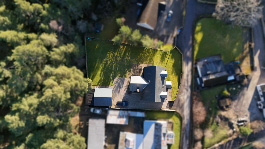 forest trail aerial.png