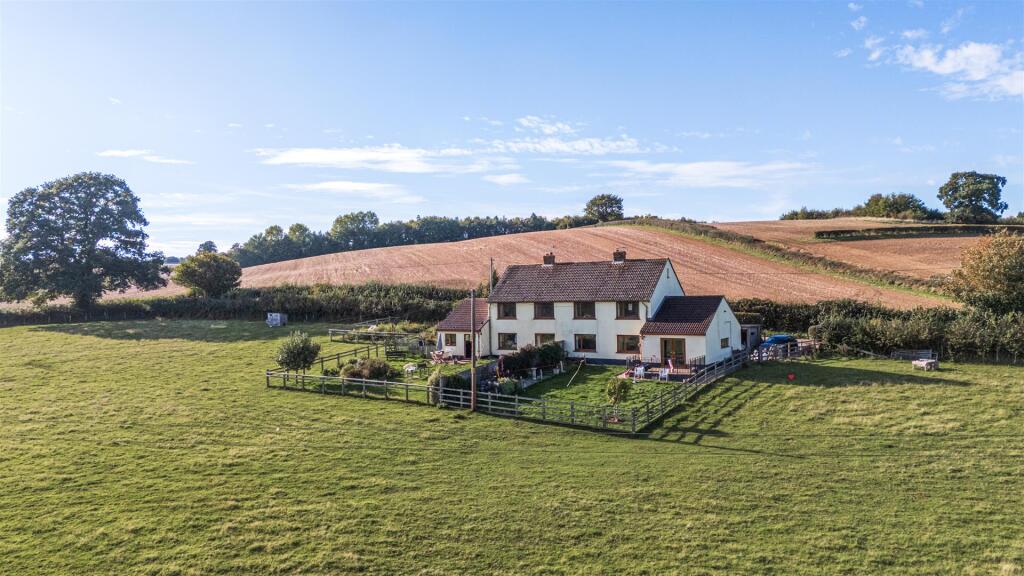 Page 4 large 1358564-30-68dc1d135b95a-ARW.jpg