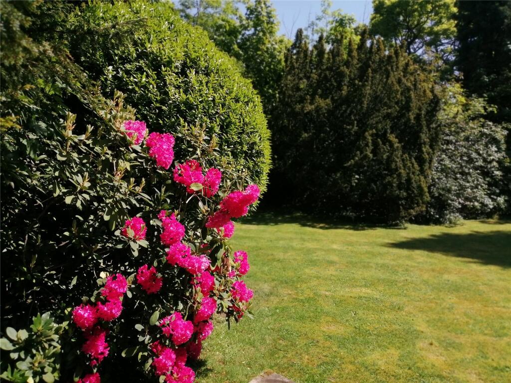 Garden In Summer