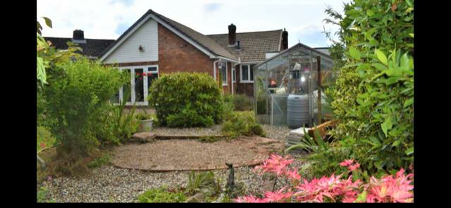 garden 2.png