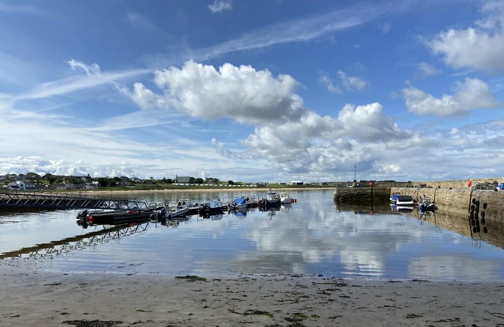 Harbour
