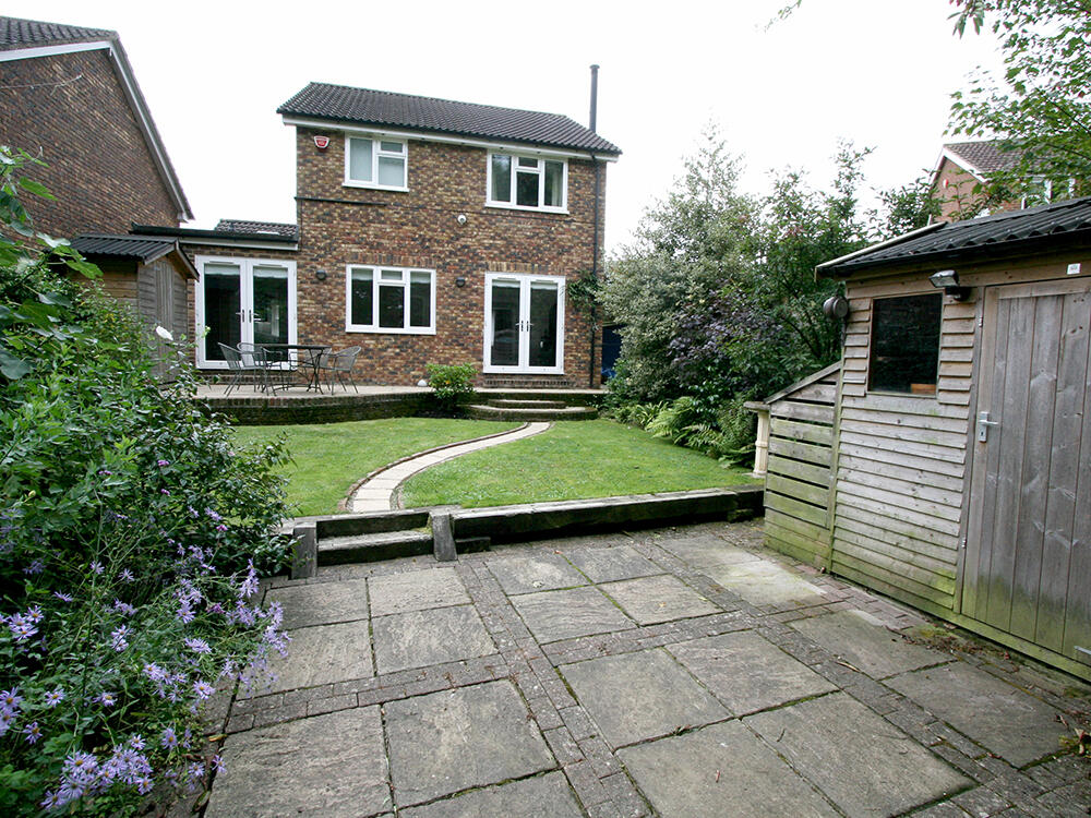 Rear