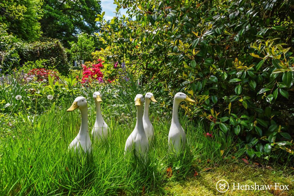 sketch_Ph40_5924711 - Copy.jpg