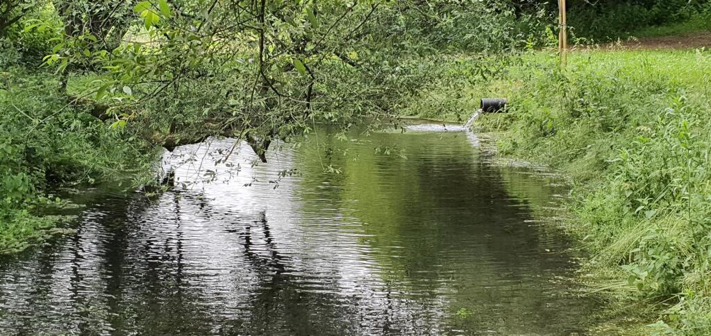 20210622_175336 (1).jpg