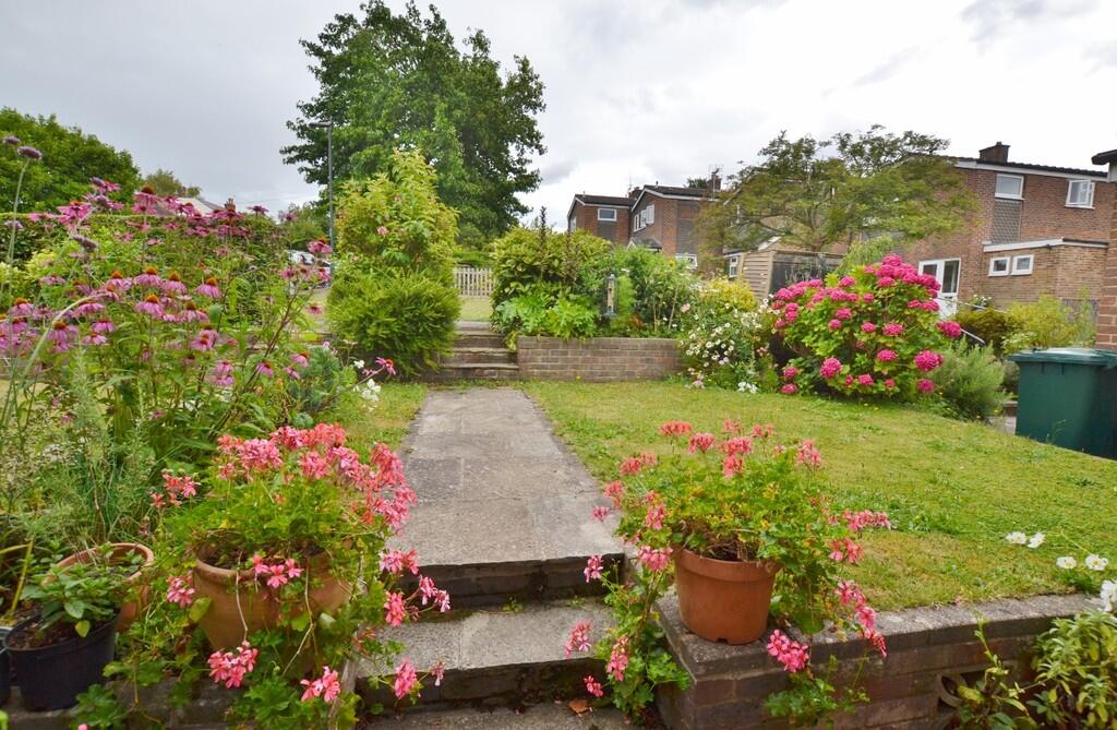 DSC_0909 (1280x83...