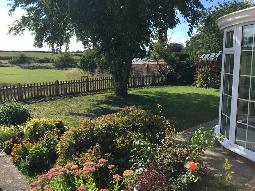 Summertime Garden