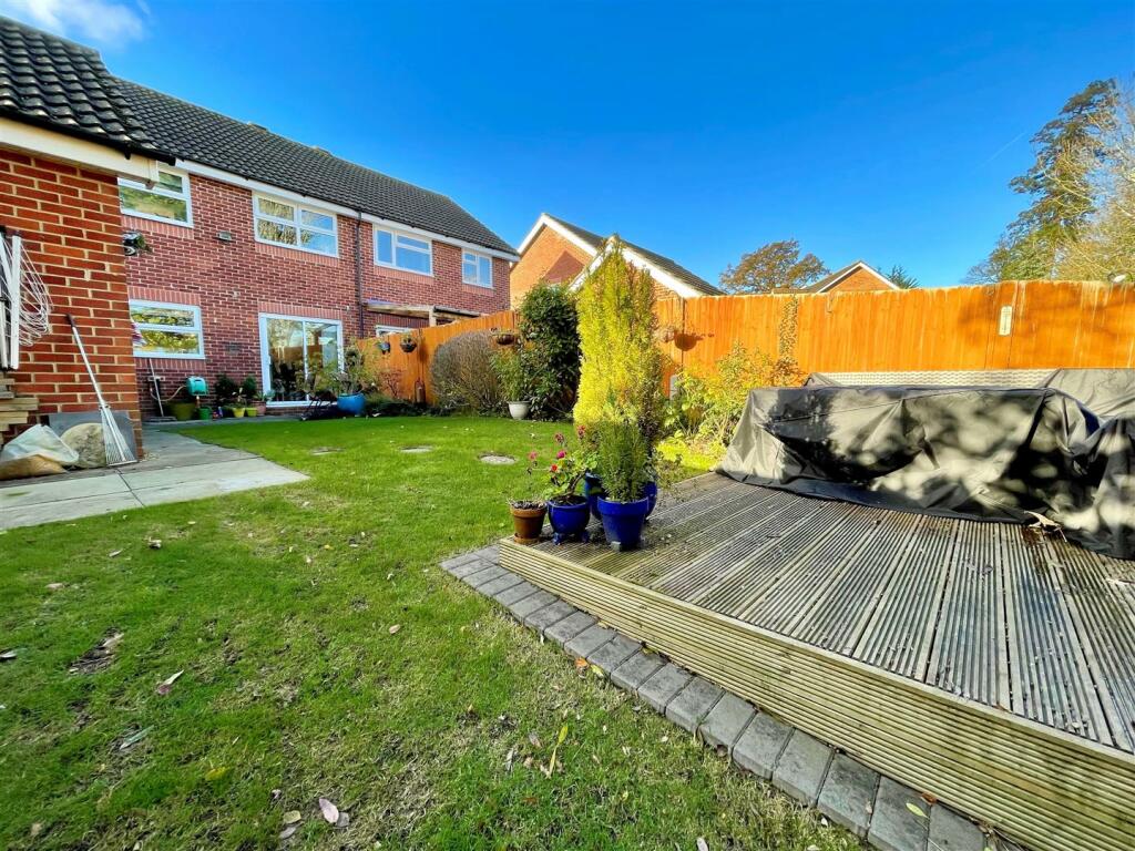 garden 3.jpg