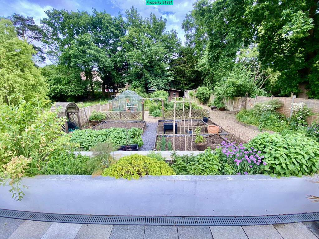 View of the garden from patio