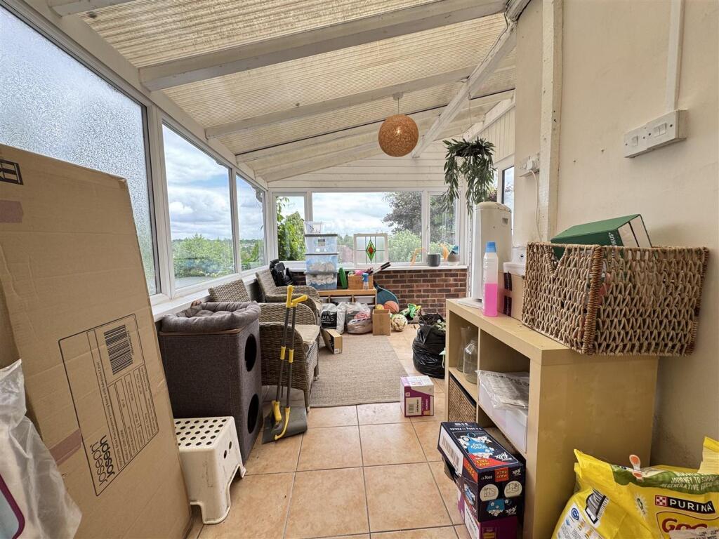 IMG_9586 (Large).JPG