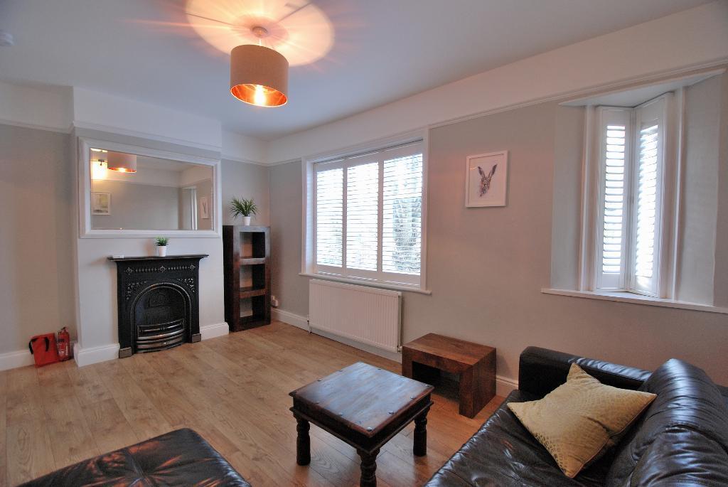 Spacious Living/Dining Room