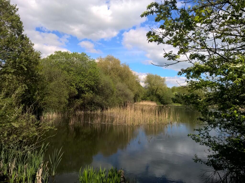 Near Countryside