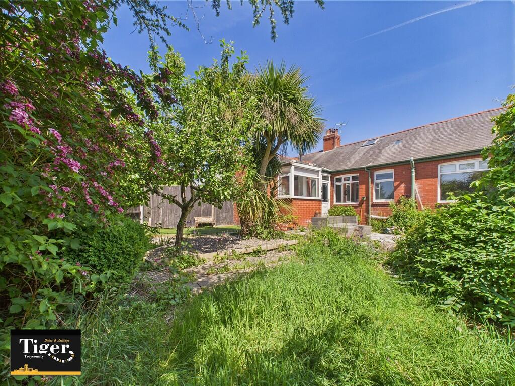 CAM02176G0-PR0586...