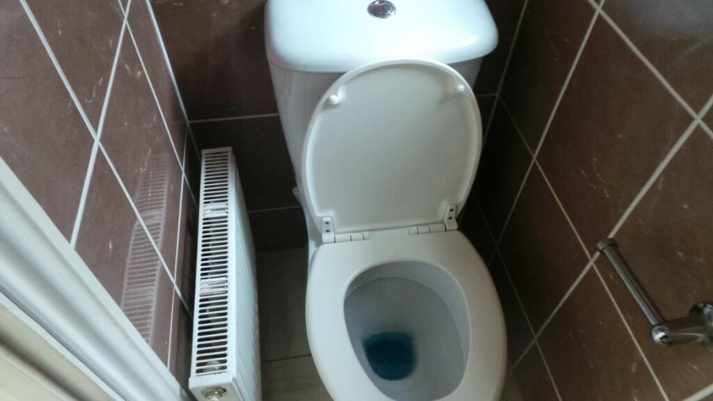 En Suite Toilet