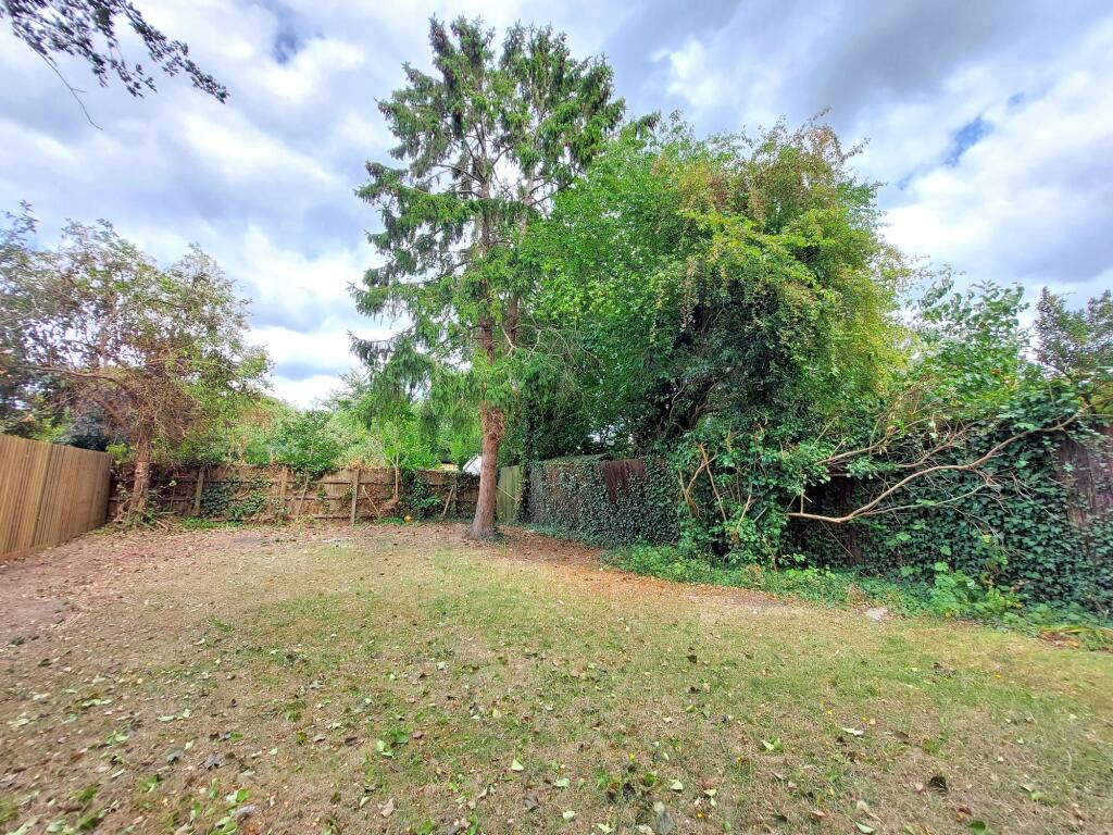 Back Garden