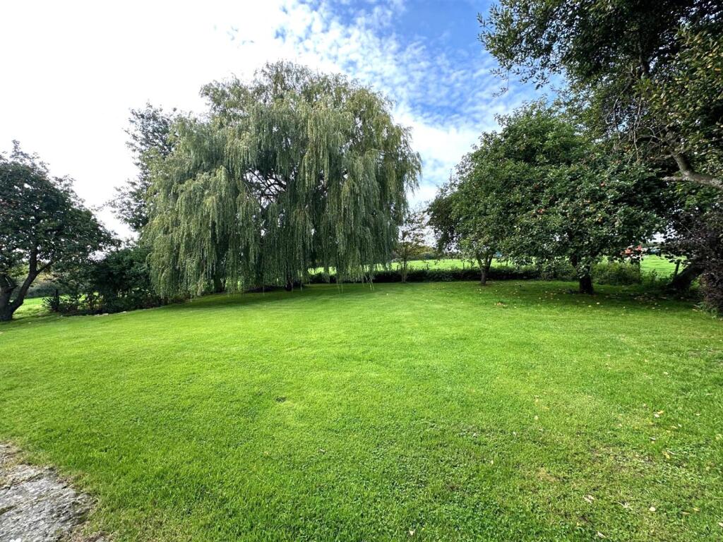 GARDEN.jpg