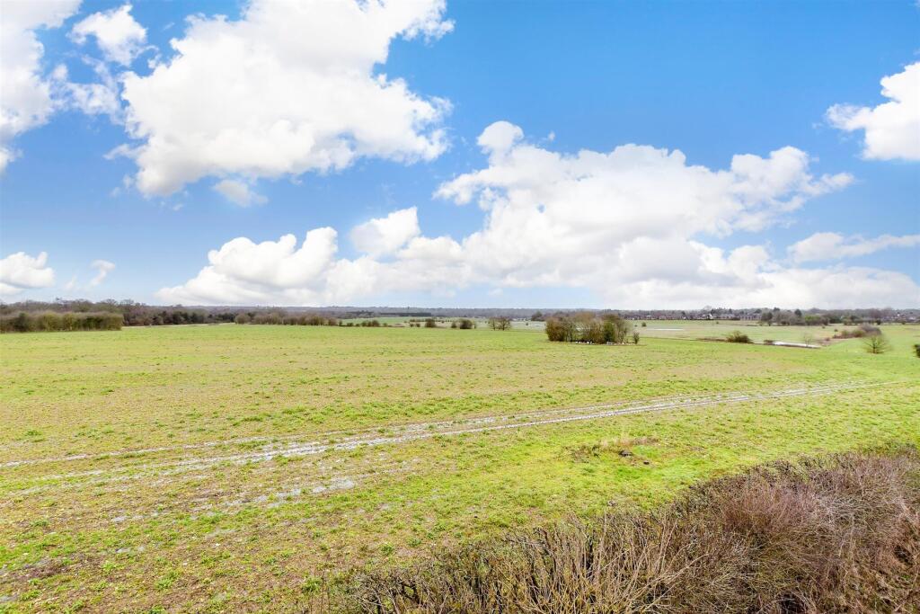 Surrounding Area