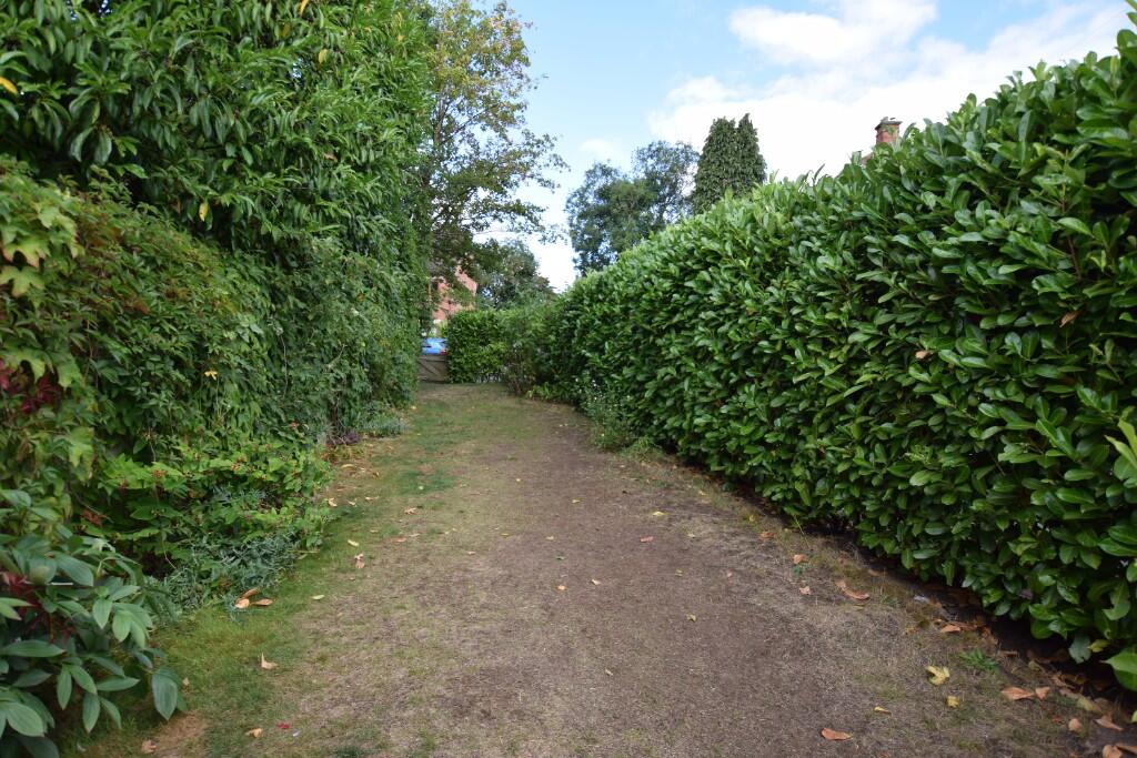garden