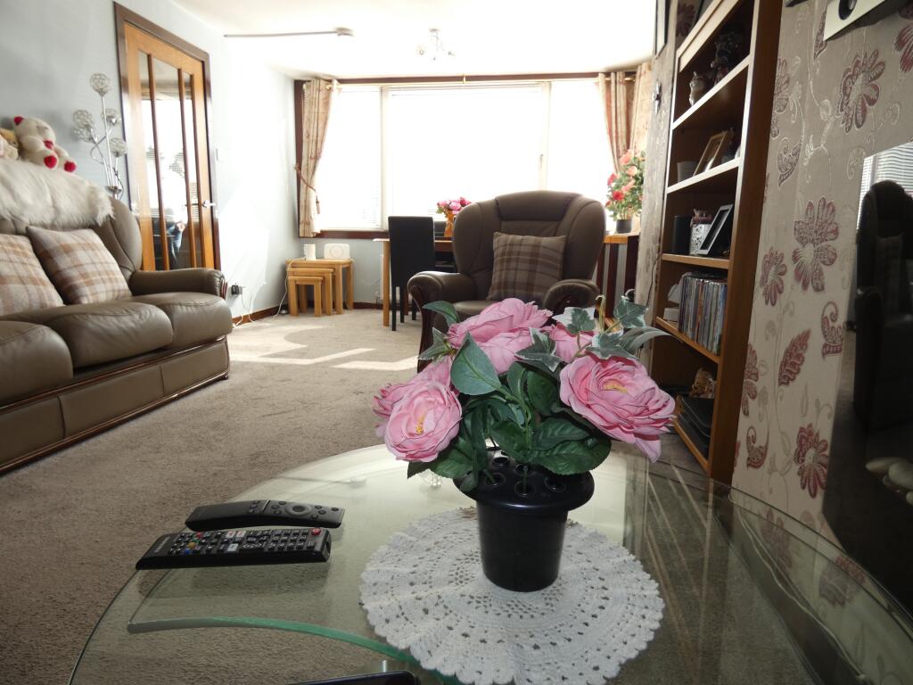 LOUNGE / DINING
