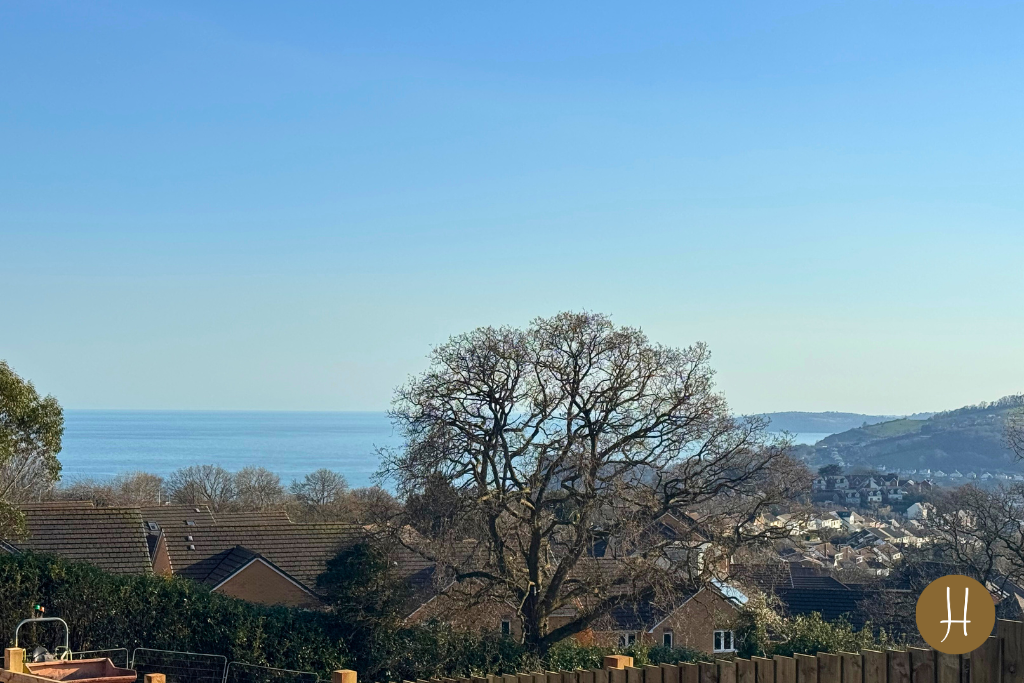 Stunning Views 