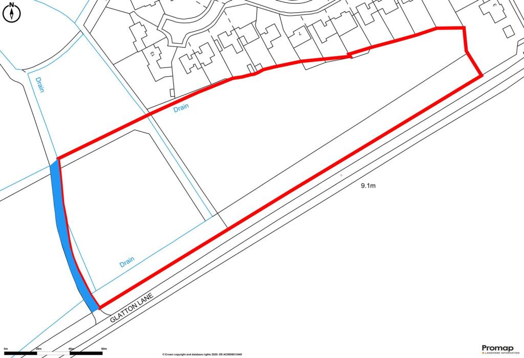 Promap-3124701-3222325-750-0 Blue Line.jpg