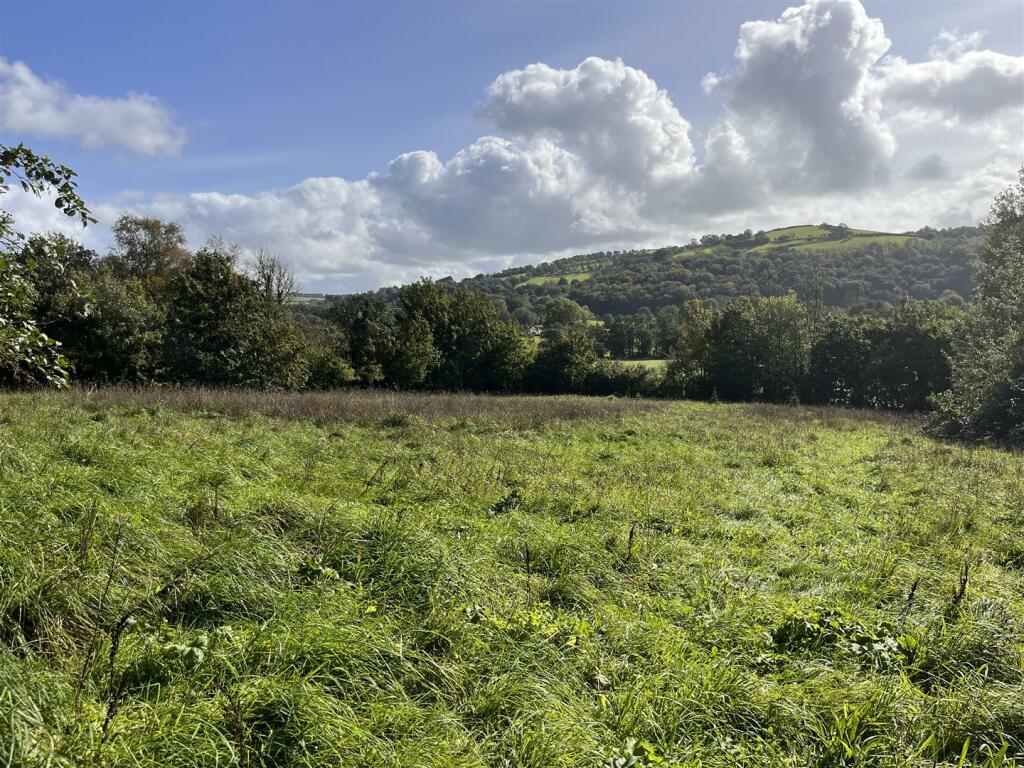 land 2.JPG
