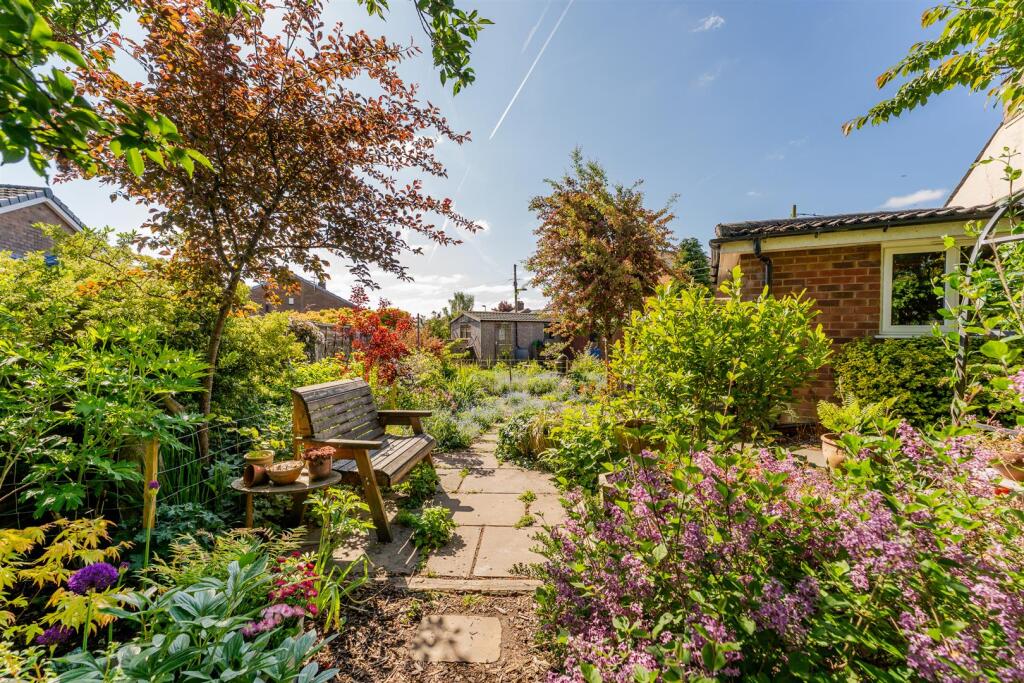 Rear Gardens