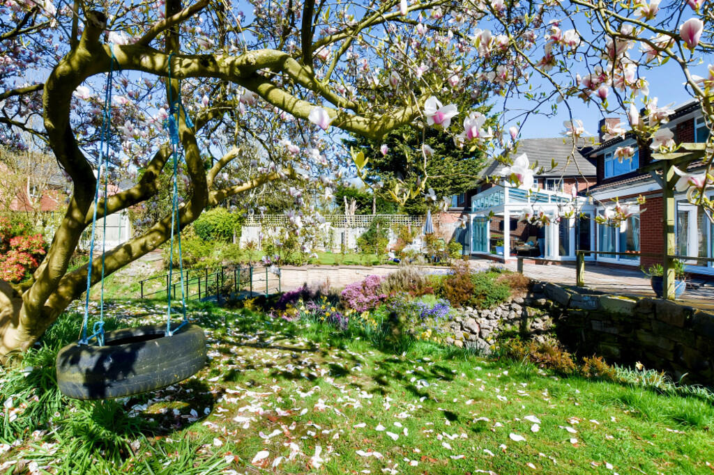 Spring Garden 5