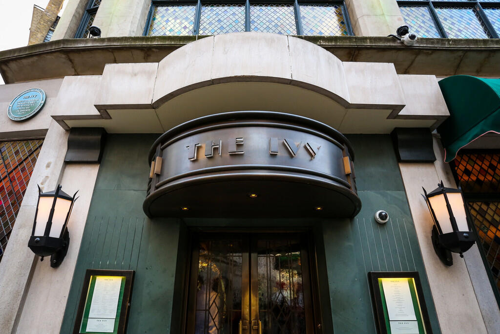 The Ivy