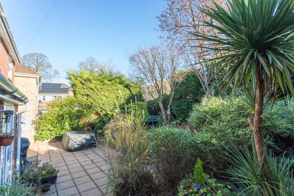 Southerly aspect garden