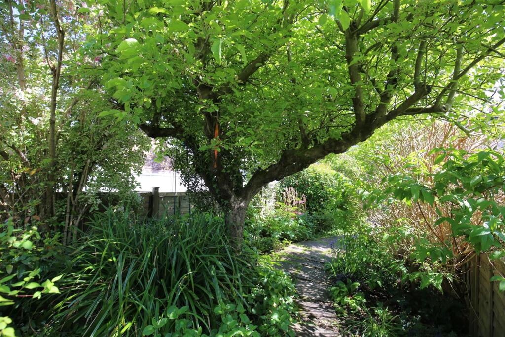 Beautiful Cottage Garden