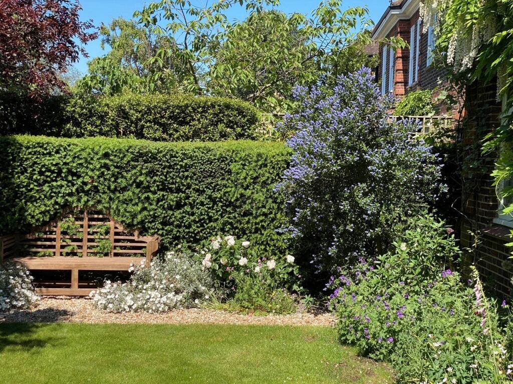 Summer Garden