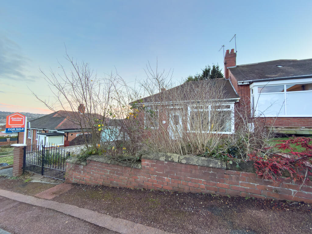 IMG 9339 T202512121005.jpg