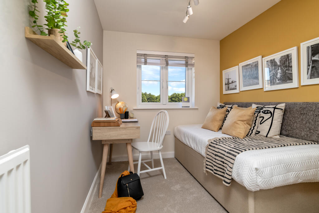 Kings Gallop-Glamis-BGAM02GD-100123-32