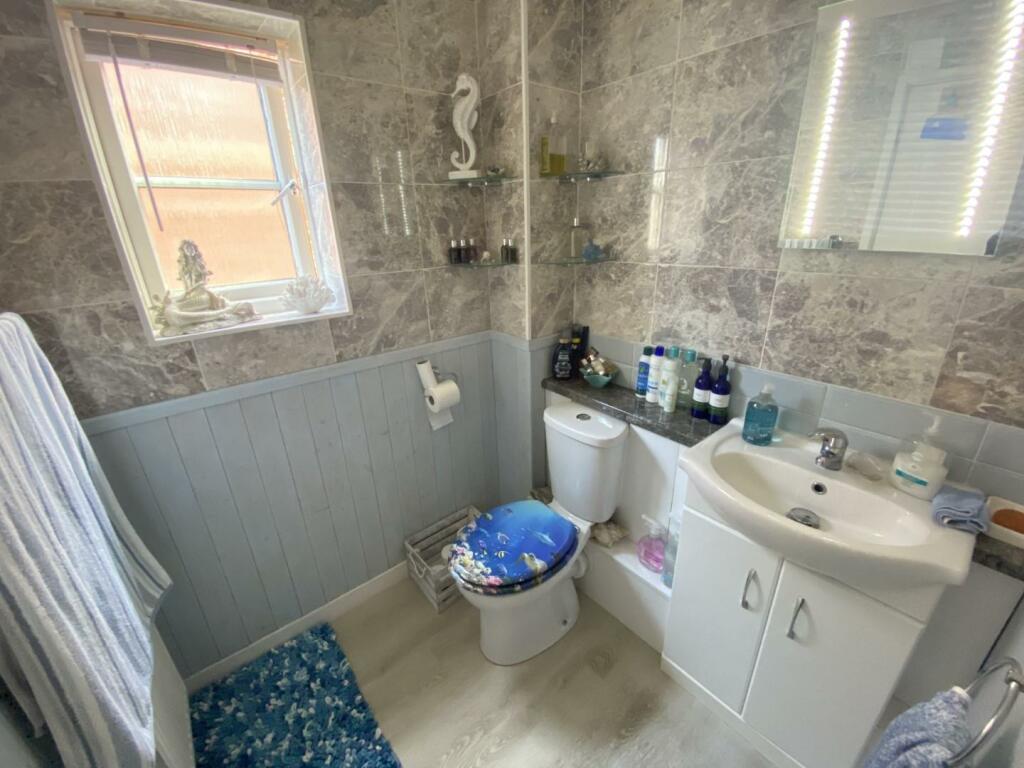 IMG_0557 (Large).JPG