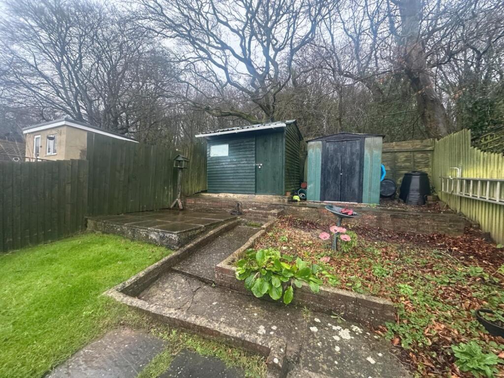 PHOTO-2025-01-23-17-55-05 22