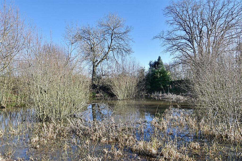 Duck Pond.jpg