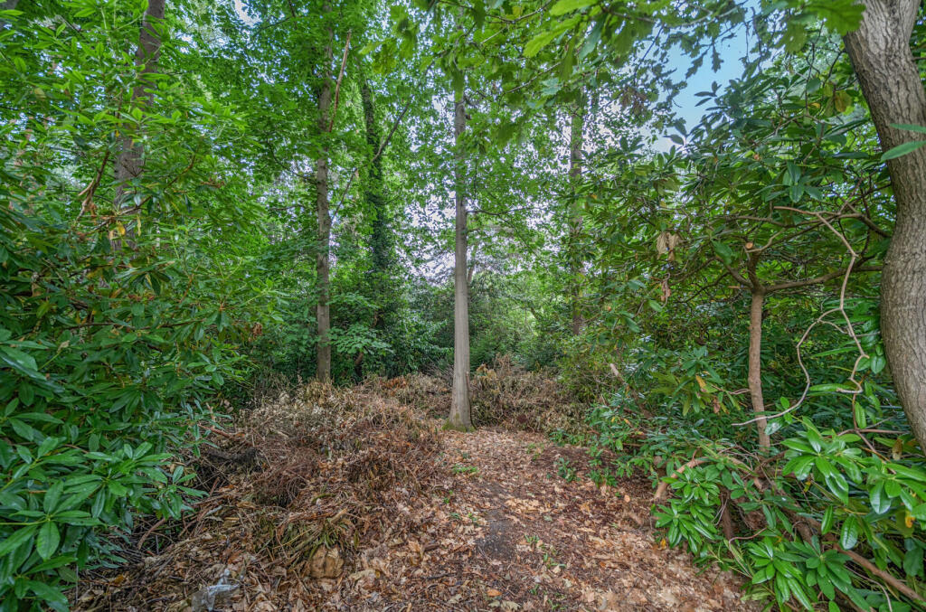 1329054-24-6880c2...