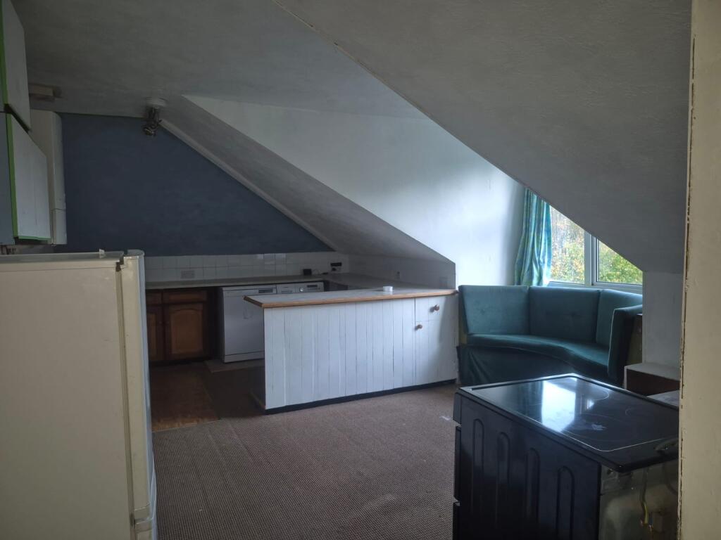 EE0E8B3A-352A-4C00-B849-BD4C16D408B3 T202510251705.jpg