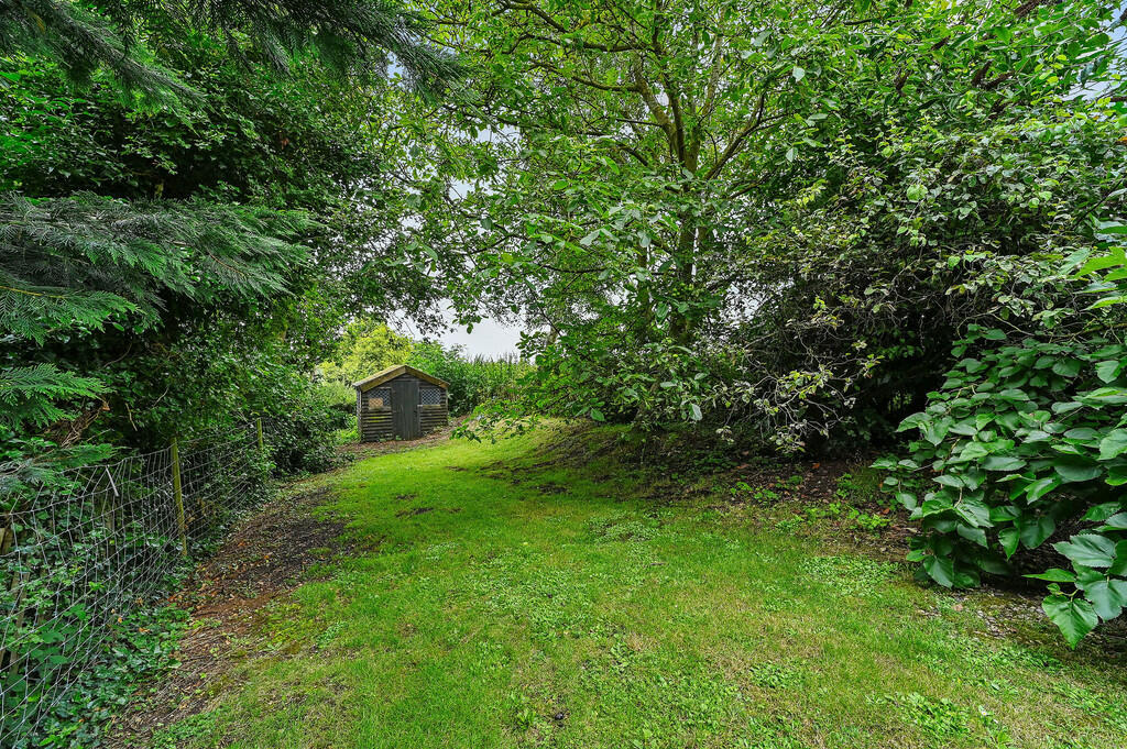 PT-DB(LH)-WalnutH...