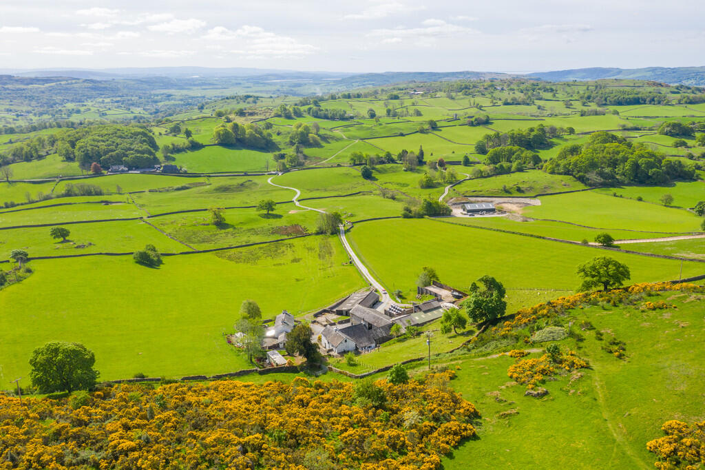 Yew Tree Farm