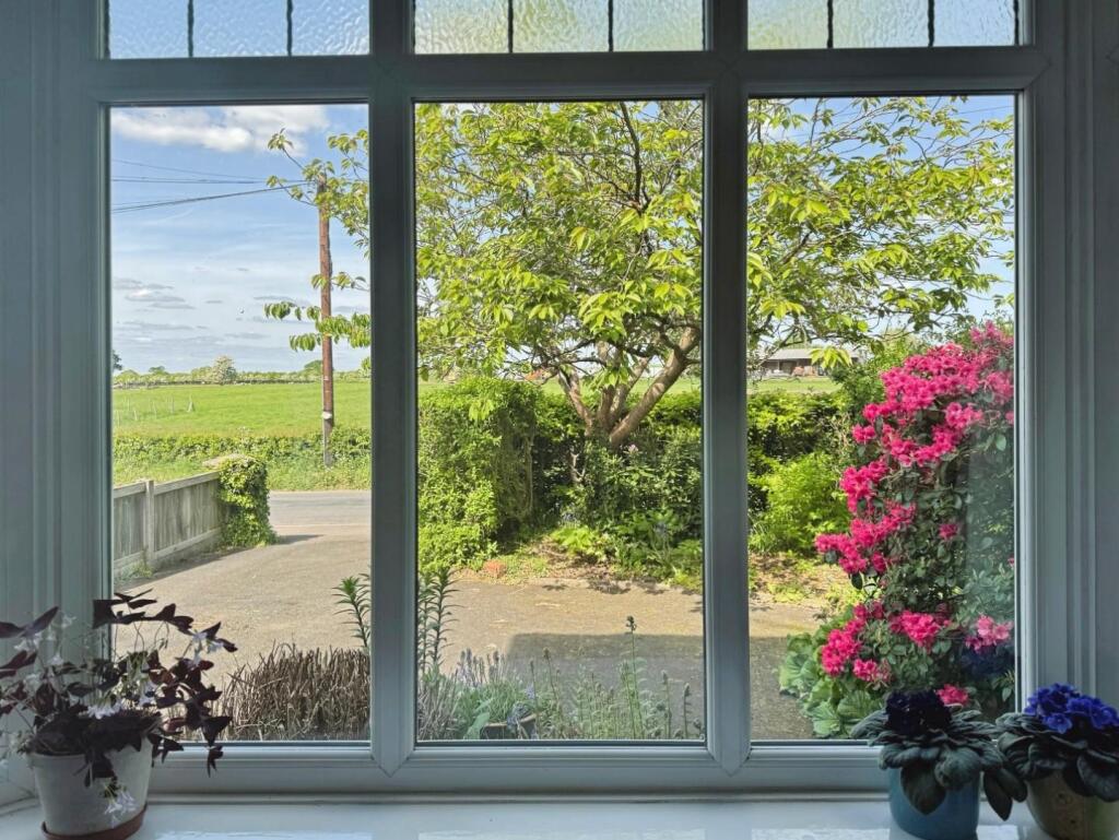 Lounge Window