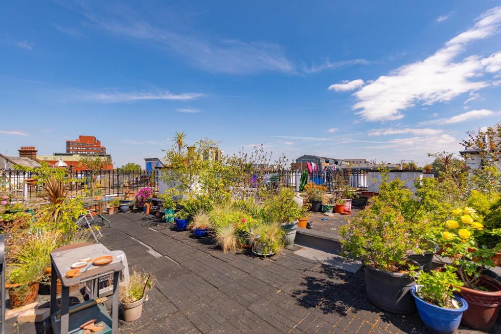 Roof Terrace.jpg