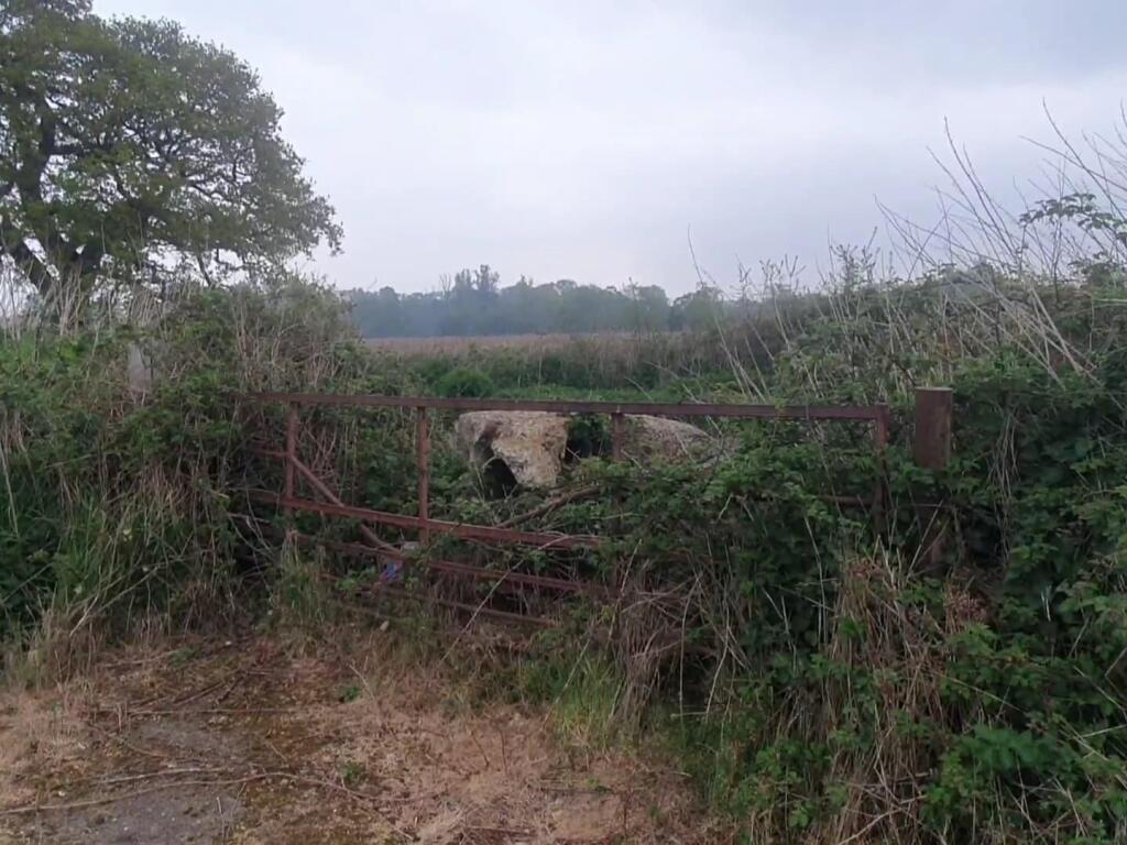 WhatsApp Image 2025-05-05 at 18.31.35 (1).jpeg