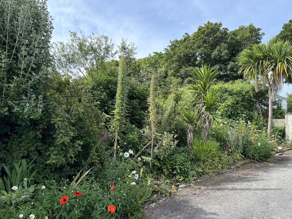 Garden shrubs.jpg