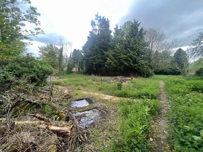 View down on to both plots